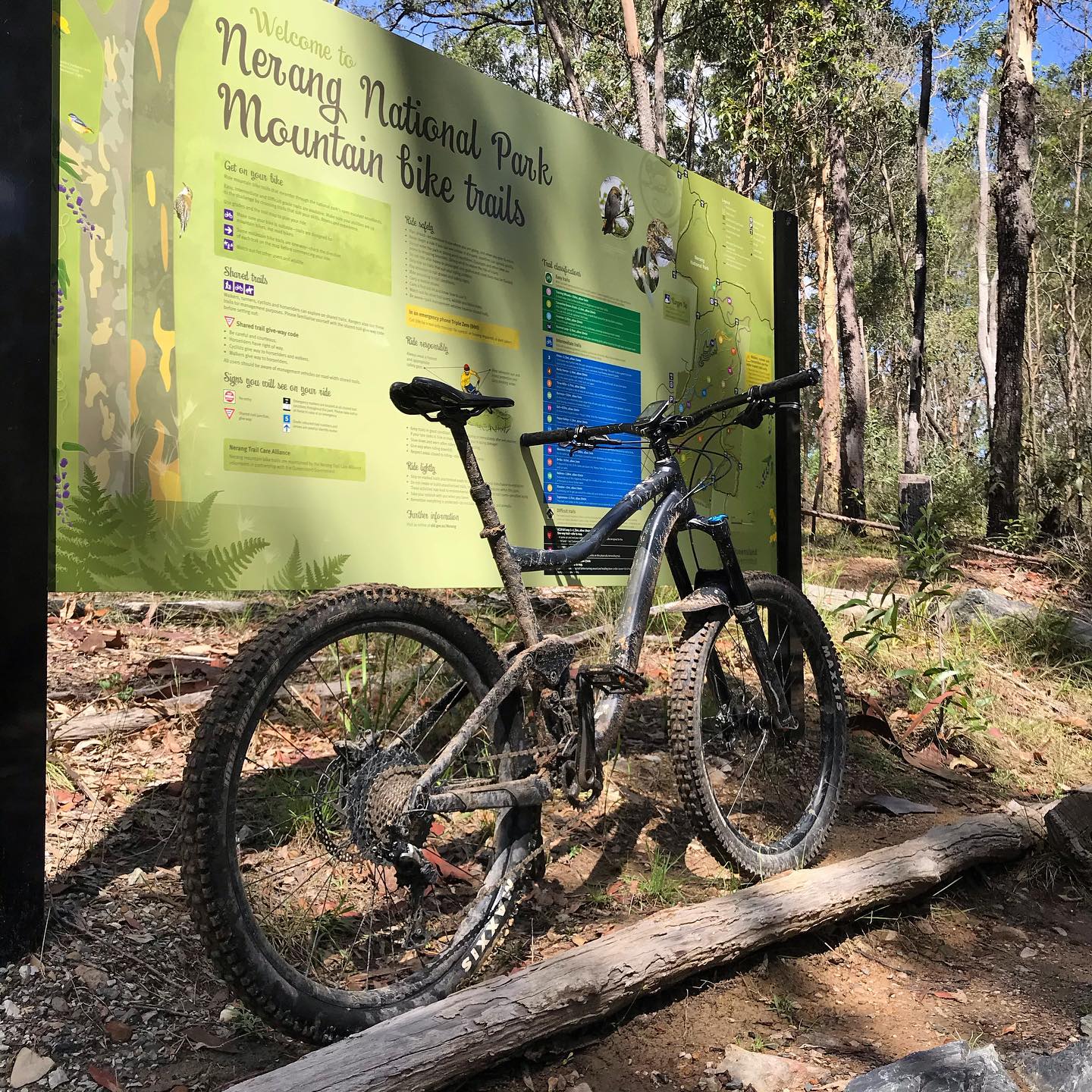 Mud-splattered mountain bike parked in front of a Nerang National Park mountain bike trails sign in a wooded area.