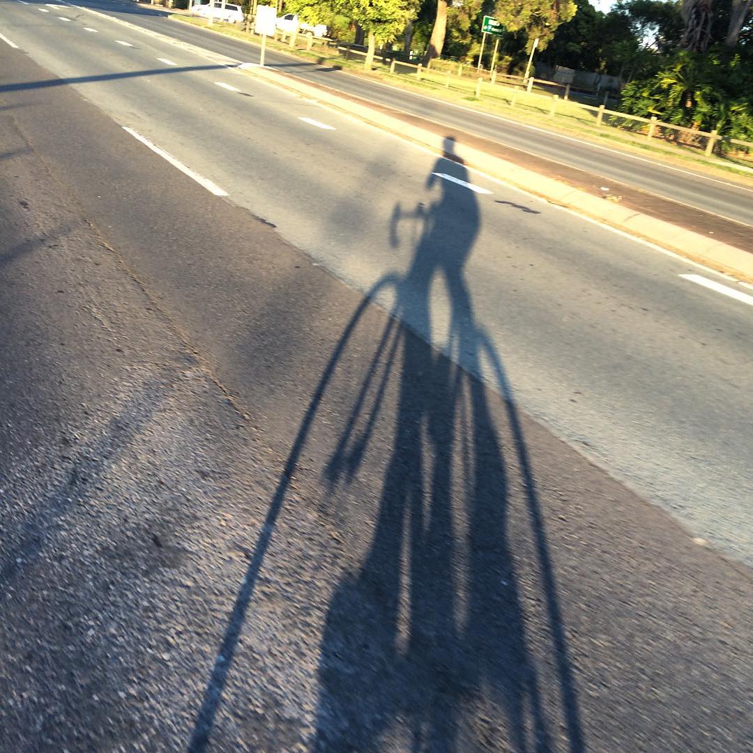 Long shadow of a cyclist and bike stretching across a sunlit road beside a median and trees.
