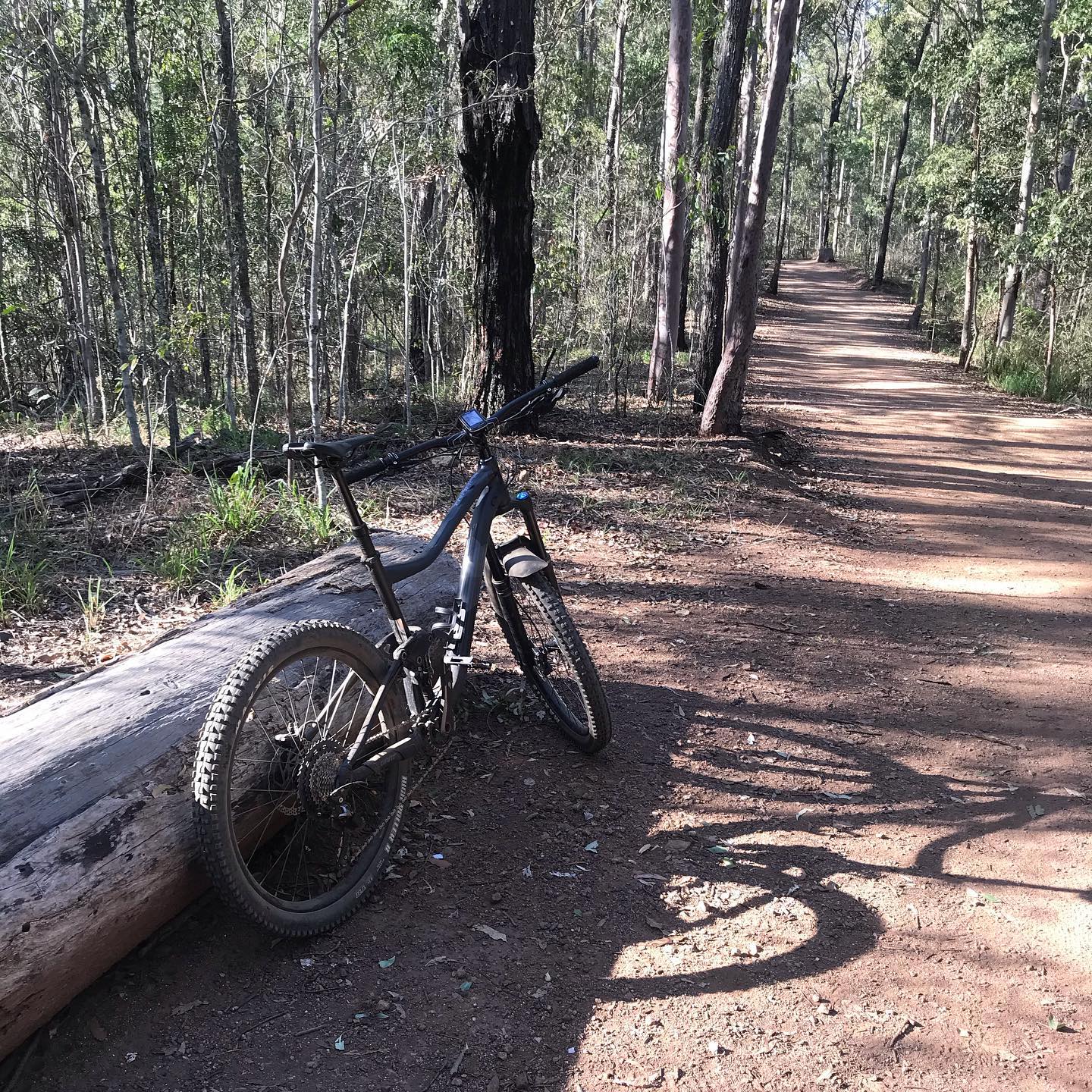 Mountain bike leaning against a fallen log beside a wide dirt trail through a sunlit forest.
