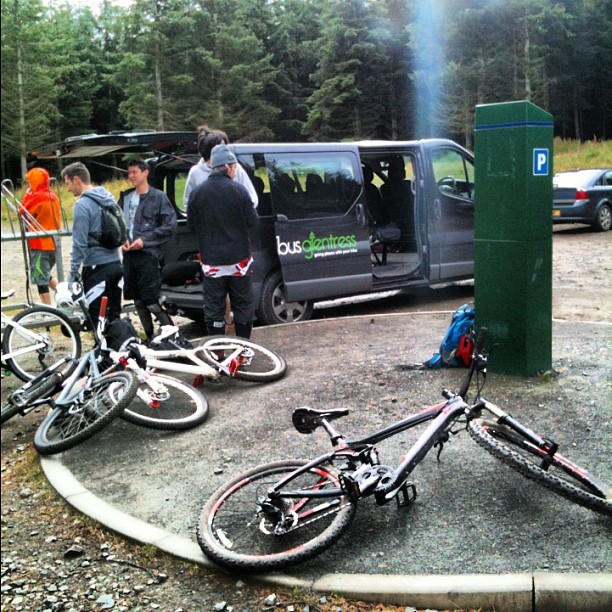 Several bicycles lie on the ground beside a gray van with people standing in a forest parking area.
