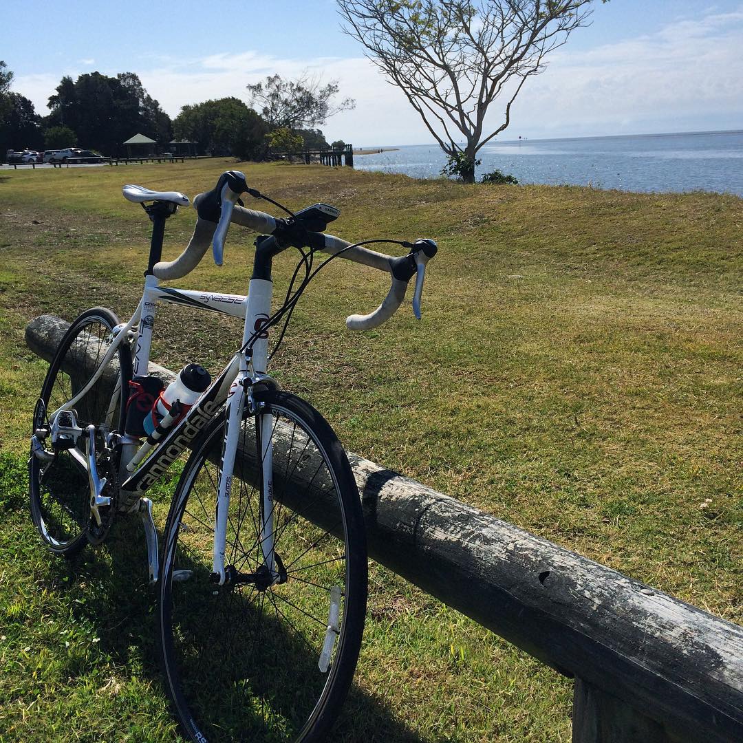 White road bike leaning against a wooden rail on grassy waterfront, with a tree, small pier, and calm blue water in the background.