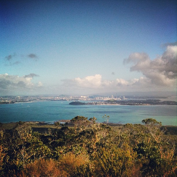 Coastal landscape with blue water, distant city skyline, scattered clouds, and sunlit shrubs in the foreground.