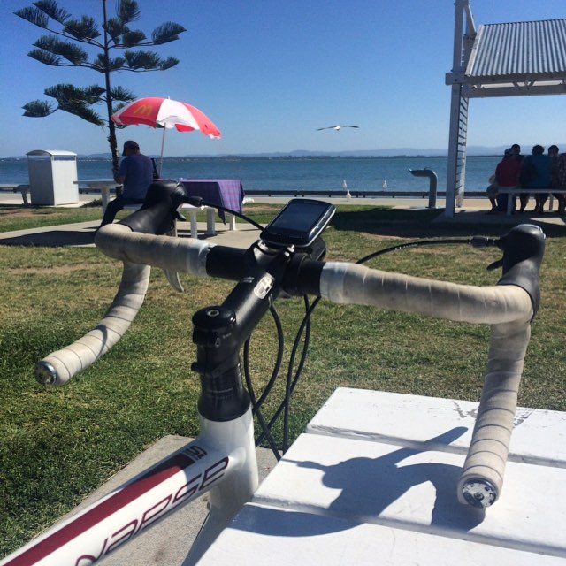 Road bike handlebars in the foreground by a grassy waterfront, with a red umbrella, bench, and small shelter under a clear blue sky.