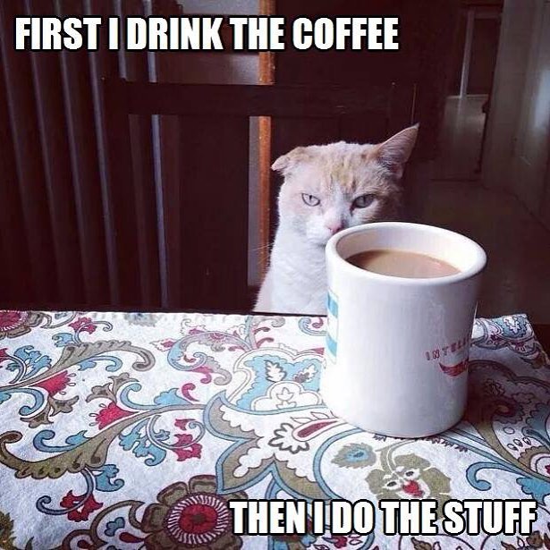 White cat staring at a coffee mug on a patterned tablecloth, with text reading, "FIRST I DRINK THE COFFEE THEN I DO THE STUFF