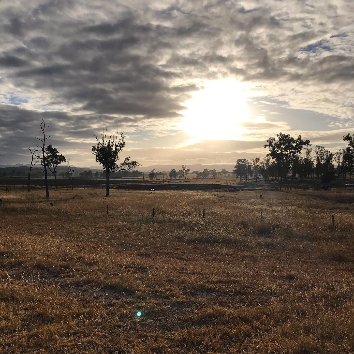 Sun breaking through thick clouds over a dry grassy field with scattered trees and distant hills.