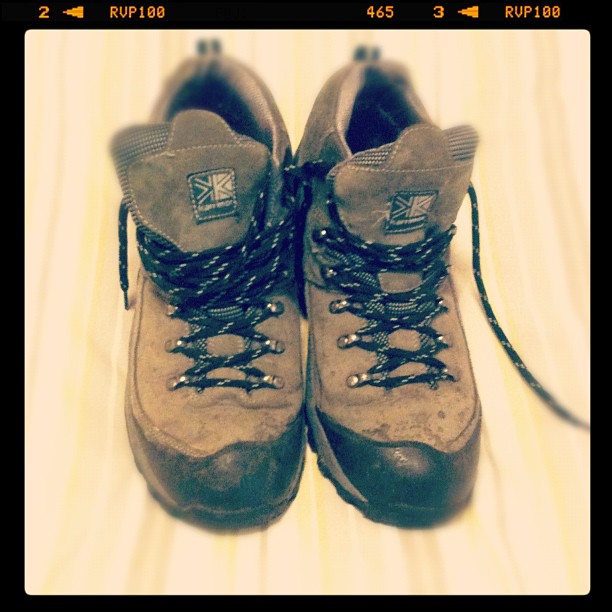 Pair of brown hiking boots with black laces placed side by side on a light striped surface.