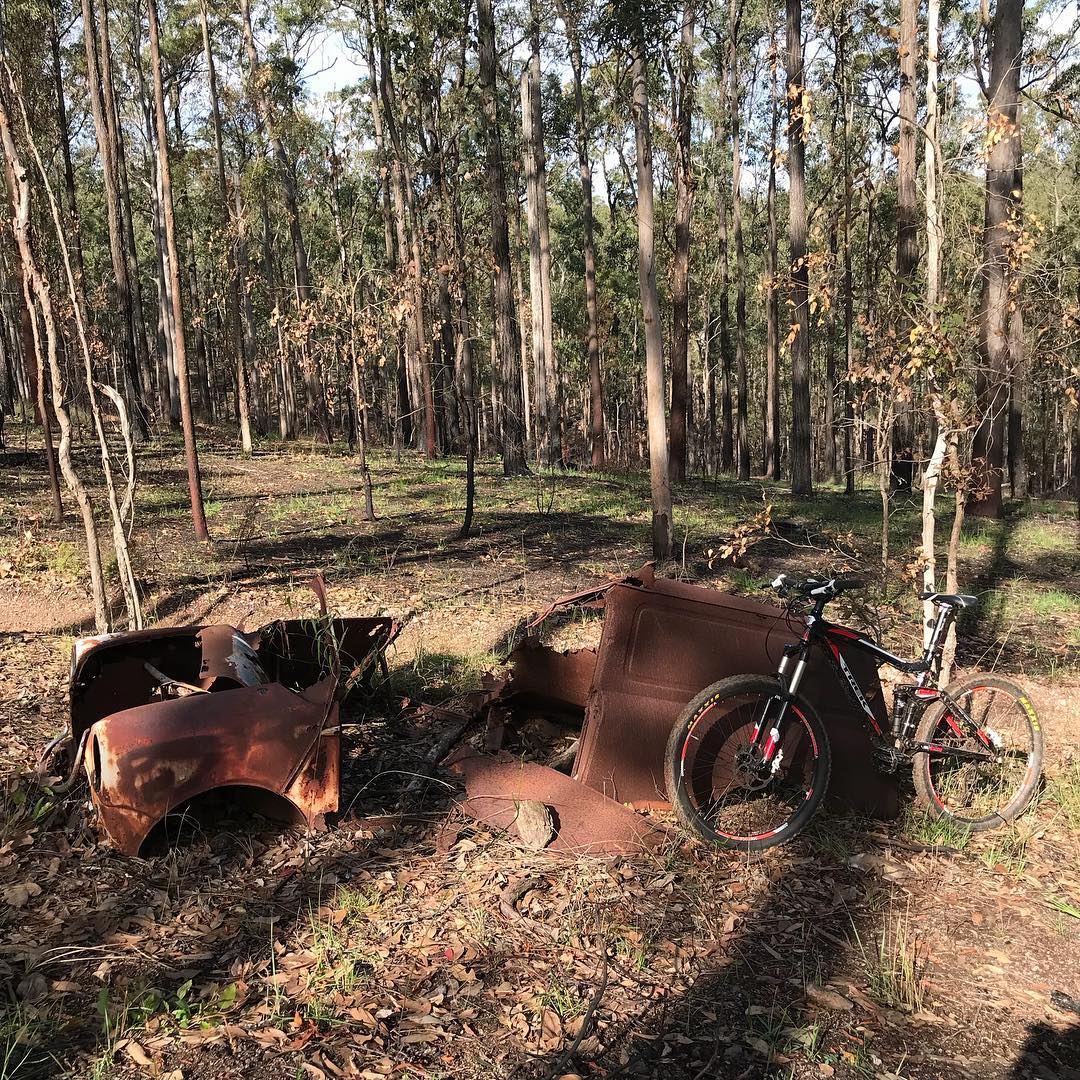 Mountain bike leaning against rusty car wreckage in a sparse forest with tall trees and dry leaves on the ground.