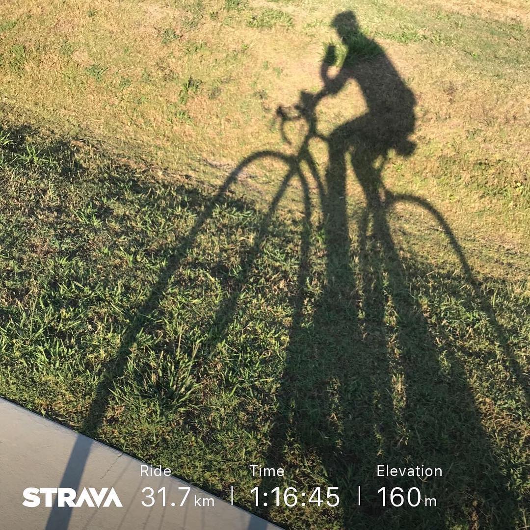 Shadow of a person riding a bicycle on sunlit grass, with Strava stats showing 31.7 km, 1:16:45, and 160 m elevation.