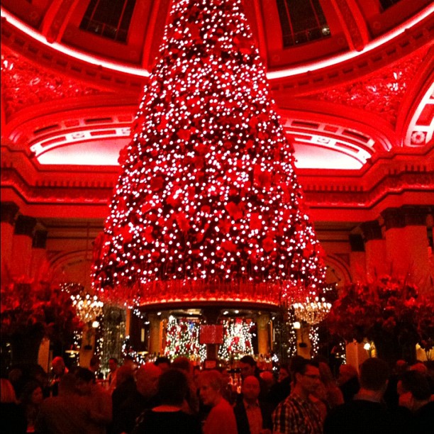Giant Christmas tree covered in red ornaments and white lights inside a grand hall filled with people and red lighting.