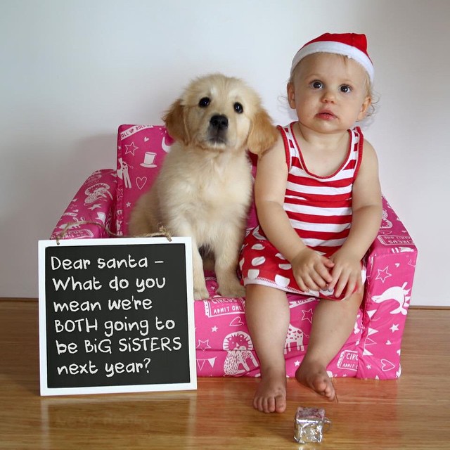 Toddler in a red-and-white striped outfit and Santa hat sits beside a puppy on a pink chair, with a sign about both being big sisters next year.