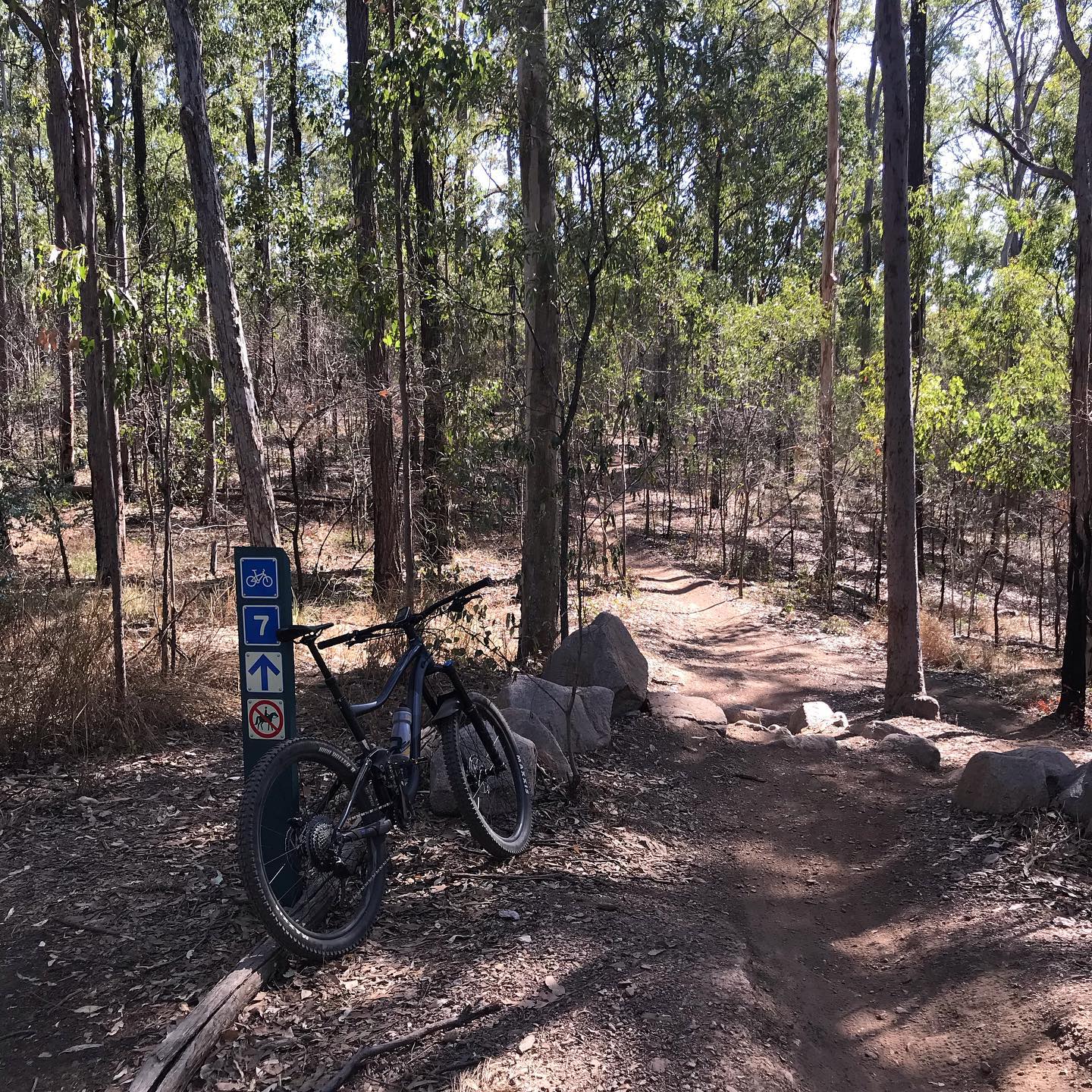 Mountain bike beside a trail marker on a narrow dirt path winding through a dry wooded forest.