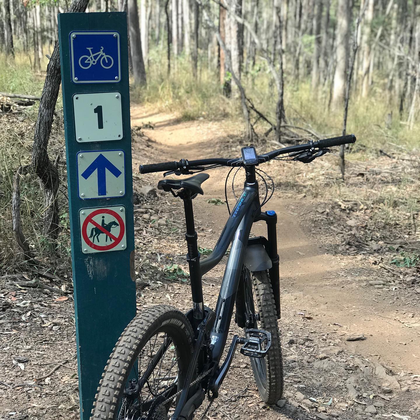 Mountain bike beside a forest trail sign marked 1, with a bike symbol, forward arrow, and no horses symbol.