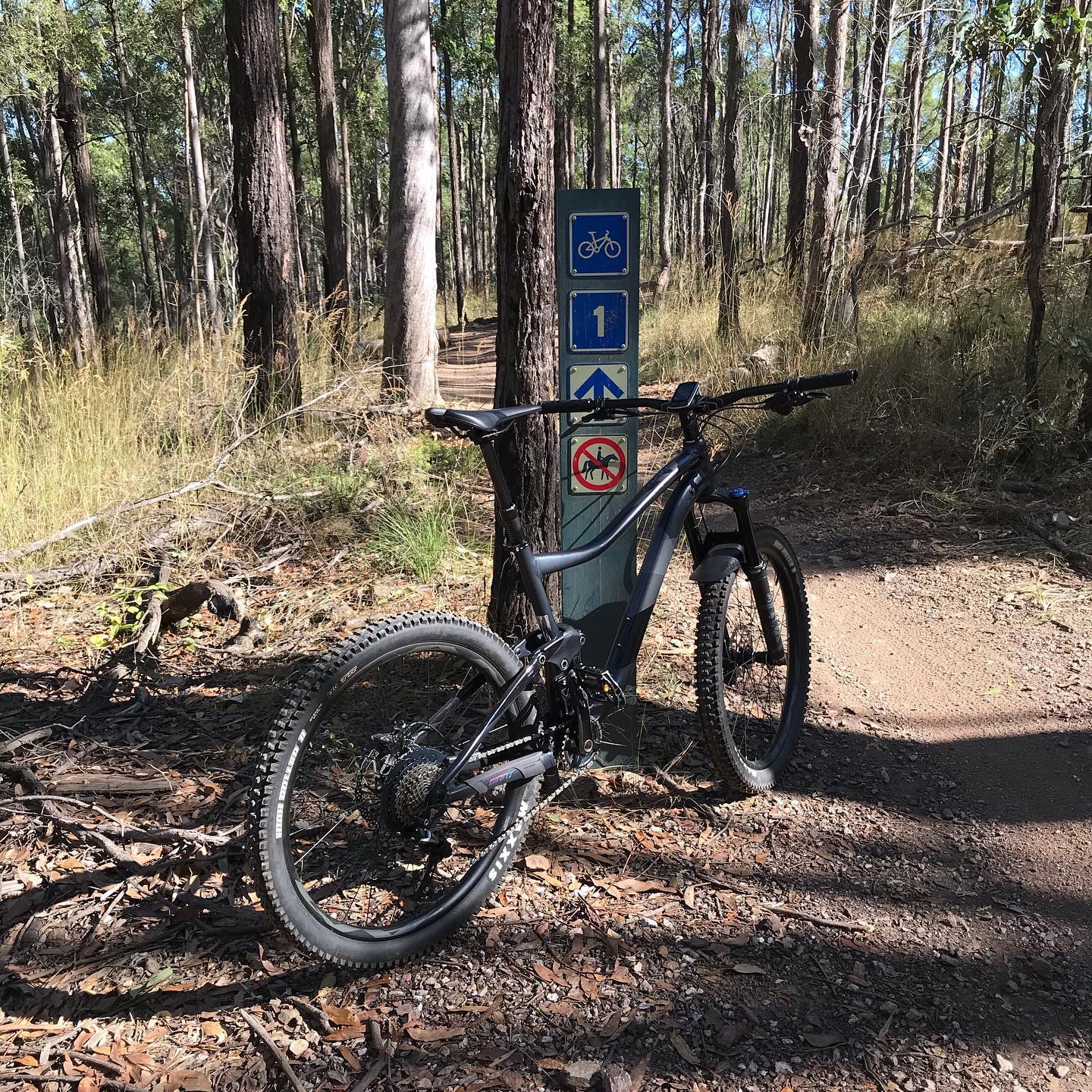 Black mountain bike beside a trail marker on a dirt path in a wooded area with tall trees and dry grass.