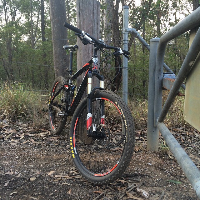 Black and red mountain bike on a dirt path beside a metal gate, with trees and dry leaves in the background.