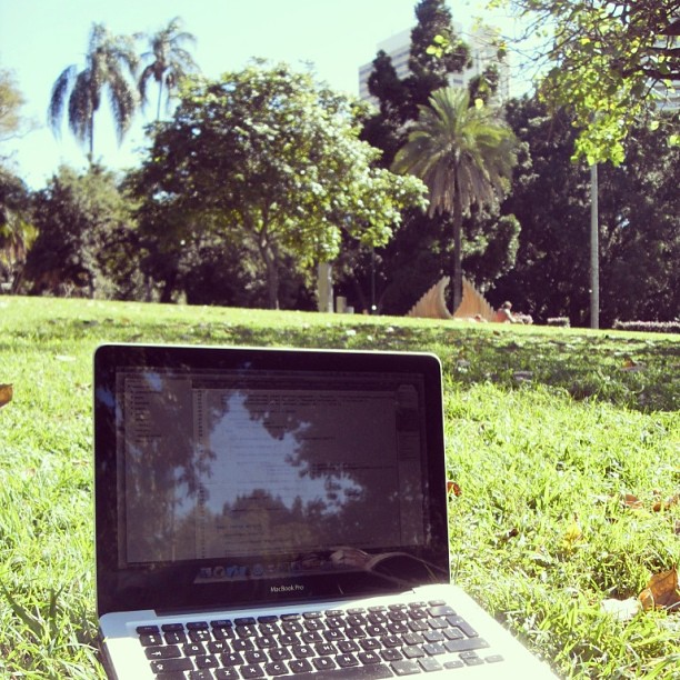 Open laptop on grass in a sunny park with palm trees and leafy trees in the background.