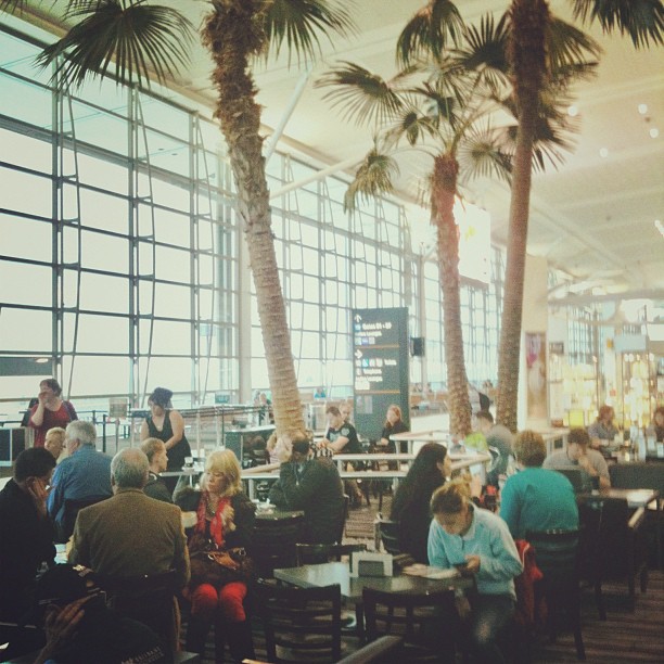Indoor airport seating area with tall palm trees, large glass windows, and people sitting at tables and walking nearby.