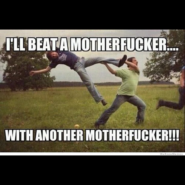 Meme of a man in a field swinging another person like a weapon, with text: “I’LL BEAT A MOTHERFUCKER.... WITH ANOTHER MOTHERFUCKER!!!”