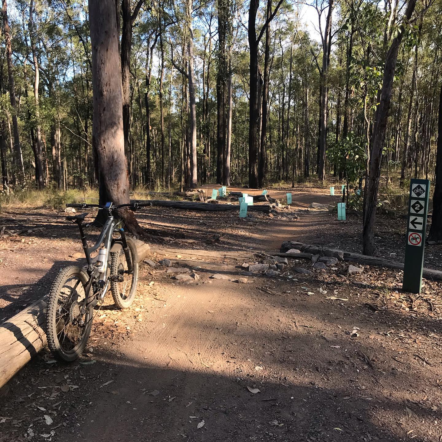 Mountain bike beside a dirt trail in a wooded area, with rocks, logs, and a trail sign among tall trees.
