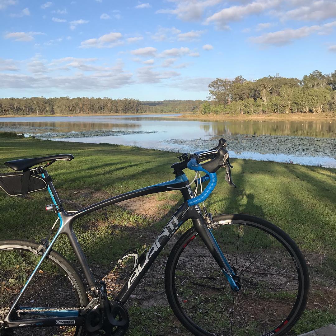 Road bike with blue handlebar tape on grassy lakeshore, with calm water, trees, and a blue sky with scattered clouds.