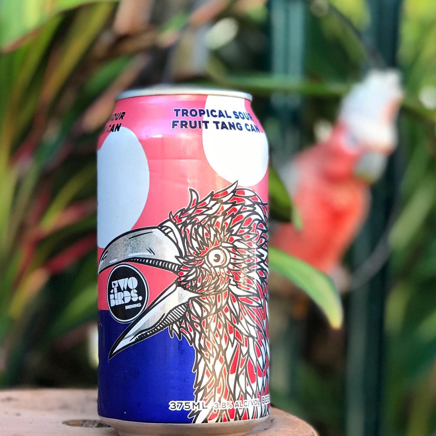 Pink, white, and blue can with a large illustrated bird on the label, standing outdoors against blurred green leaves.