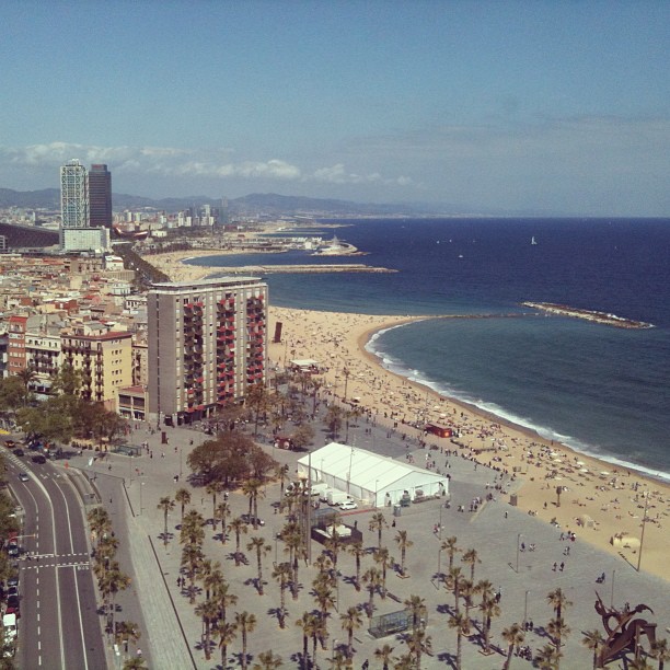 Aerial view of a curved beach beside a city promenade with palm trees, buildings, and deep blue sea.