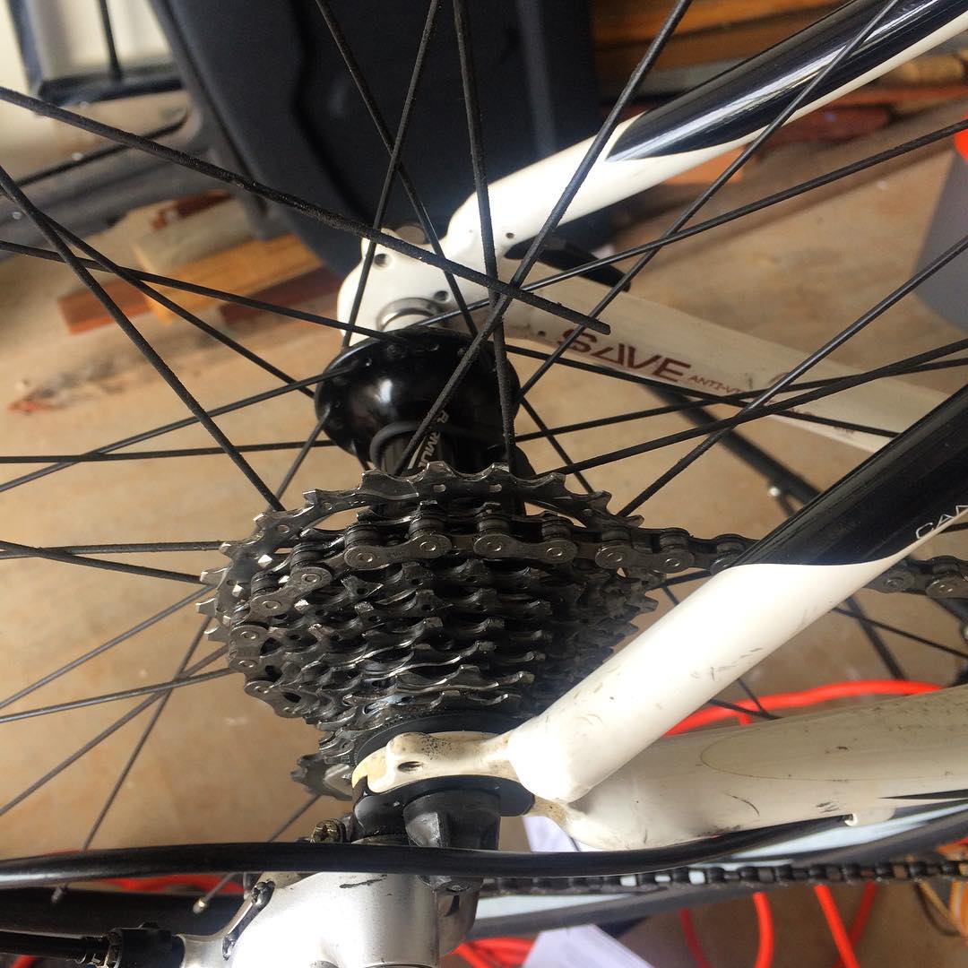 Close-up of a bicycle’s rear wheel, chain, and gear cassette on a white frame.