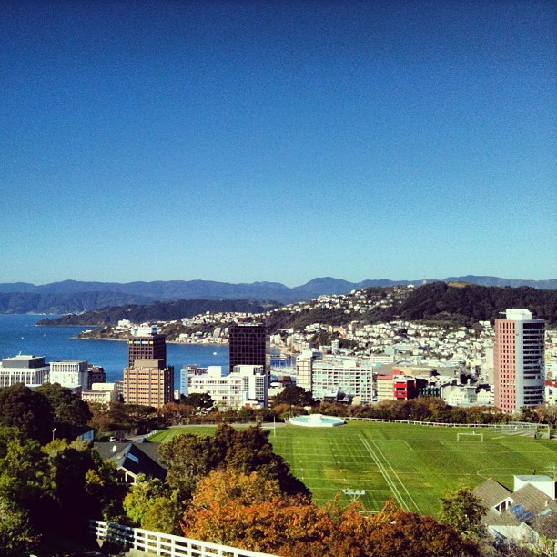 City skyline by a bay with green sports fields in the foreground, hills covered in houses, and a clear blue sky.