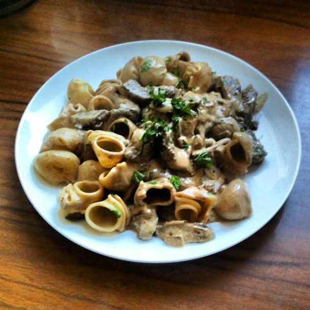 Plate of shell pasta with creamy mushroom sauce and chopped herbs on a wooden table.