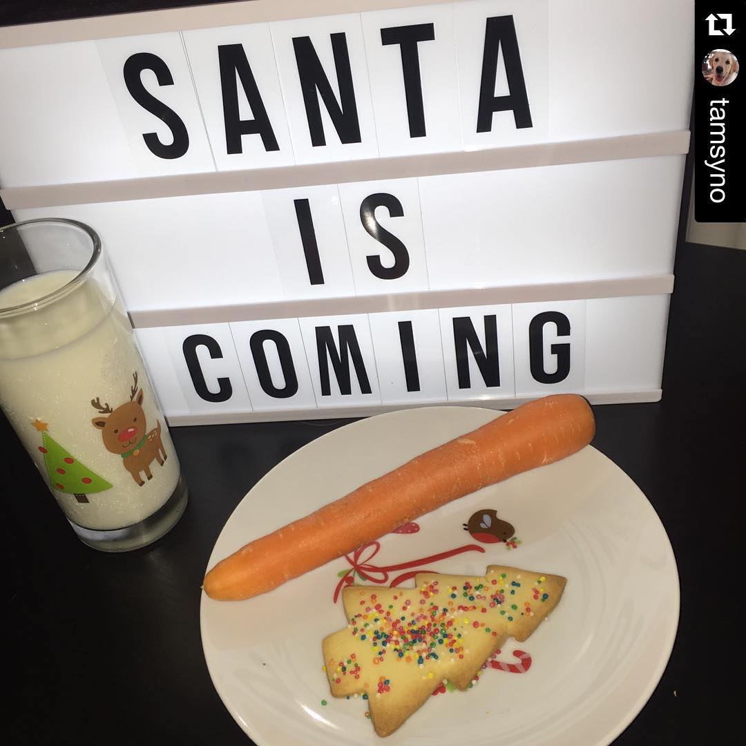 Lightbox sign reading “SANTA IS COMING” beside a glass of milk and a plate with a carrot and a Christmas tree cookie with sprinkles.