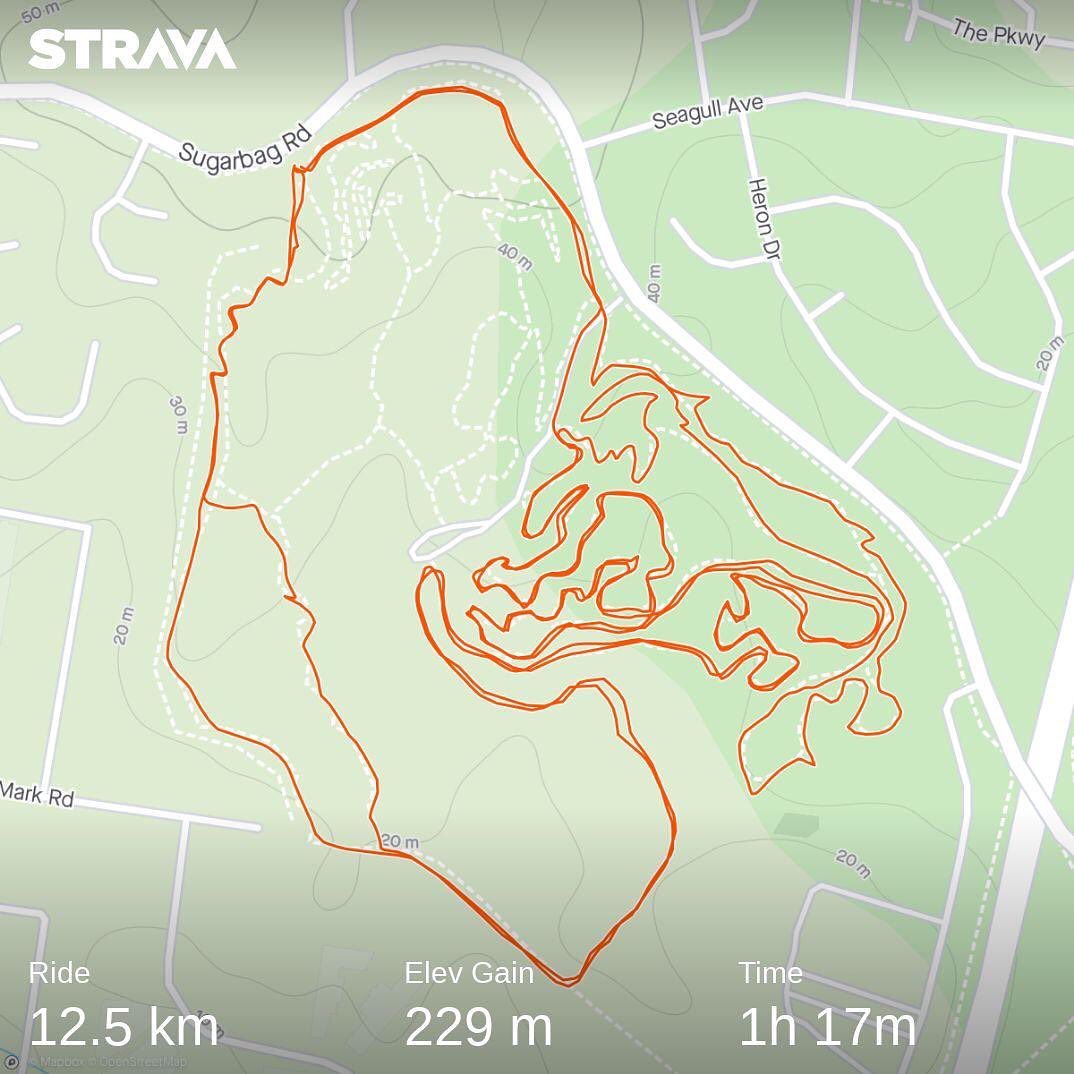 Strava map showing a 12.5 km ride with 229 m elevation gain in 1h 17m, tracing looping trails near Sugarbag Rd, Seagull Ave, and Heron Dr.
