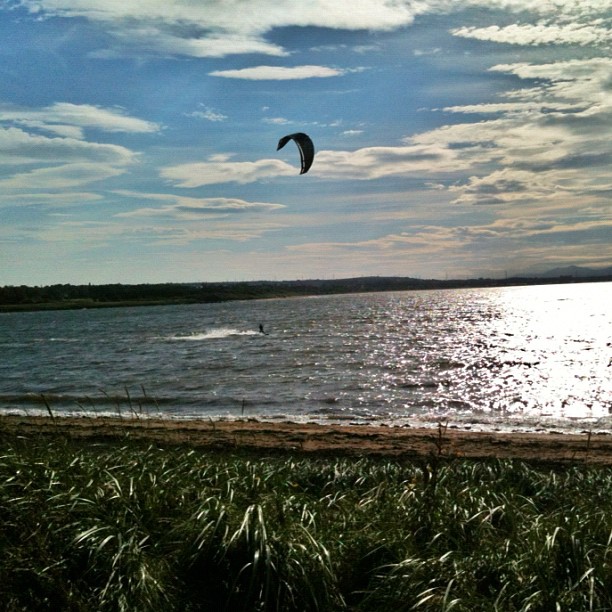 Kite surfer on a shimmering lake under a cloudy blue sky, with grassy shore in the foreground.