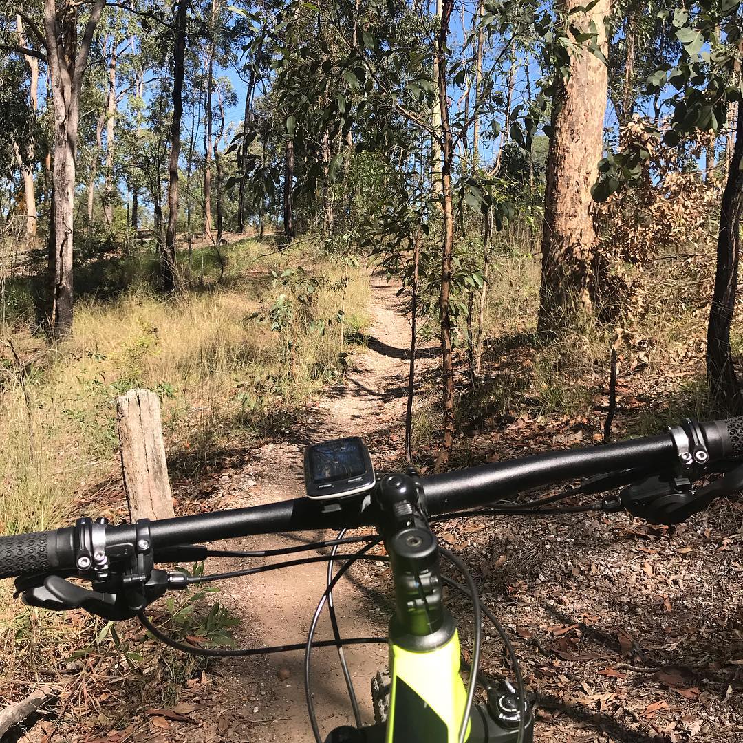 View over bicycle handlebars on a narrow dirt trail winding through dry woodland with tall trees and grass.