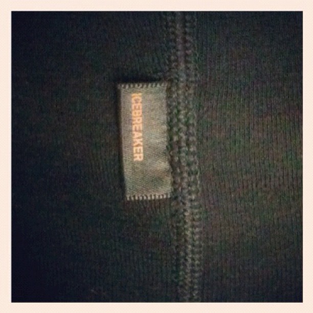 Close-up of a black zippered fabric with a small tag reading "ICEBREAKER" beside the zipper.