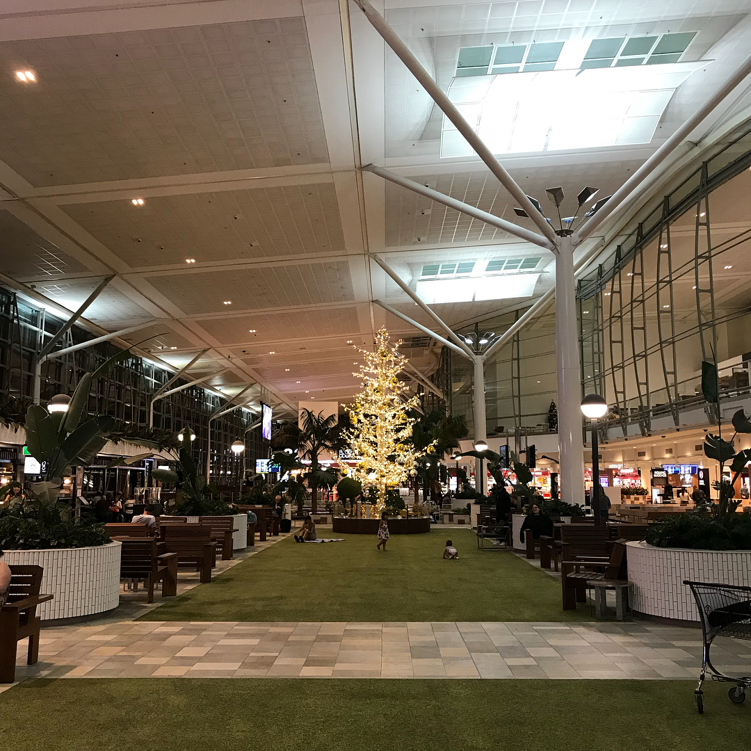 Spacious indoor atrium with benches, plants, a lit Christmas tree, and a few people beneath a high glass-and-steel ceiling.