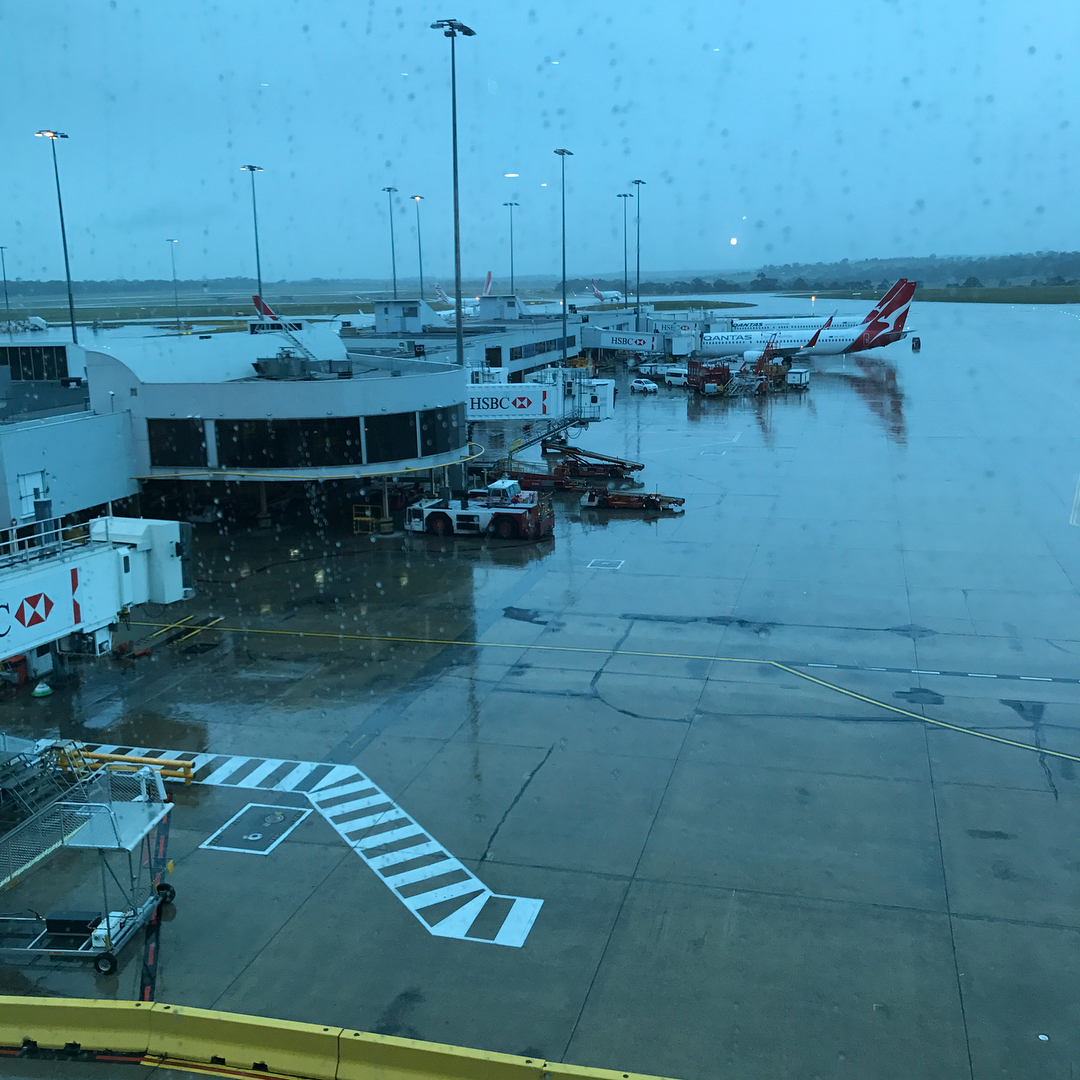 Rainy airport tarmac at dawn with Qantas planes at gates, wet pavement, service vehicles, and raindrops on the window.