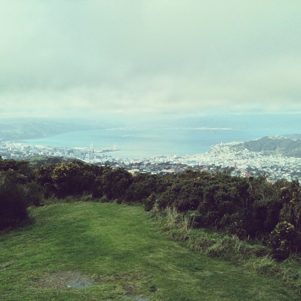 Grassy hilltop clearing overlooking a coastal city and bay under a cloudy sky.