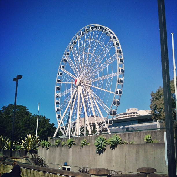 Large white Ferris wheel beside a concrete wall and plants under a clear blue sky.