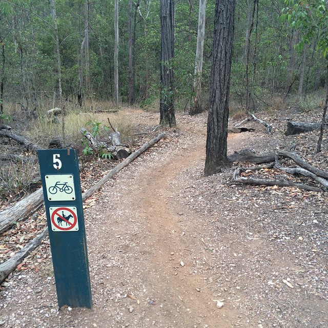 Forest trail with a sign marked 5 showing bicycles allowed and dogs prohibited.