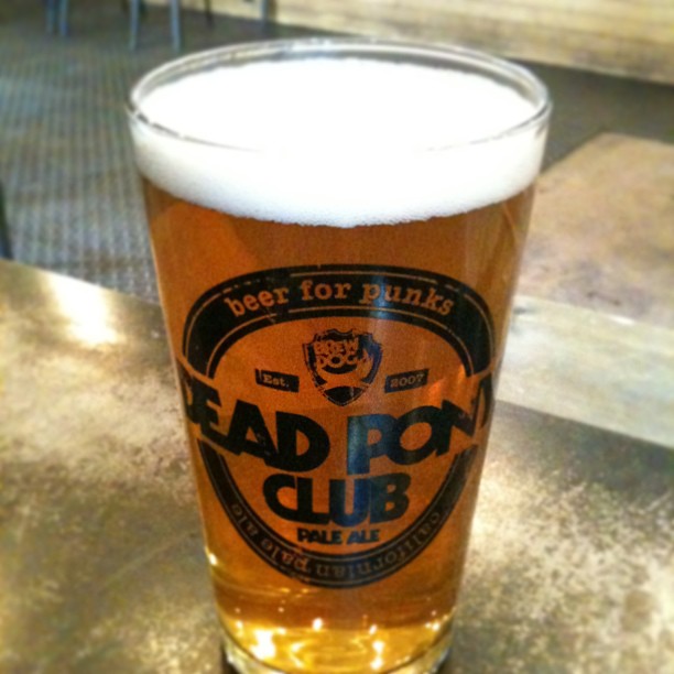 A pint glass of amber pale ale with a thick white head, branded "Dead Pony Club," on a bar counter.