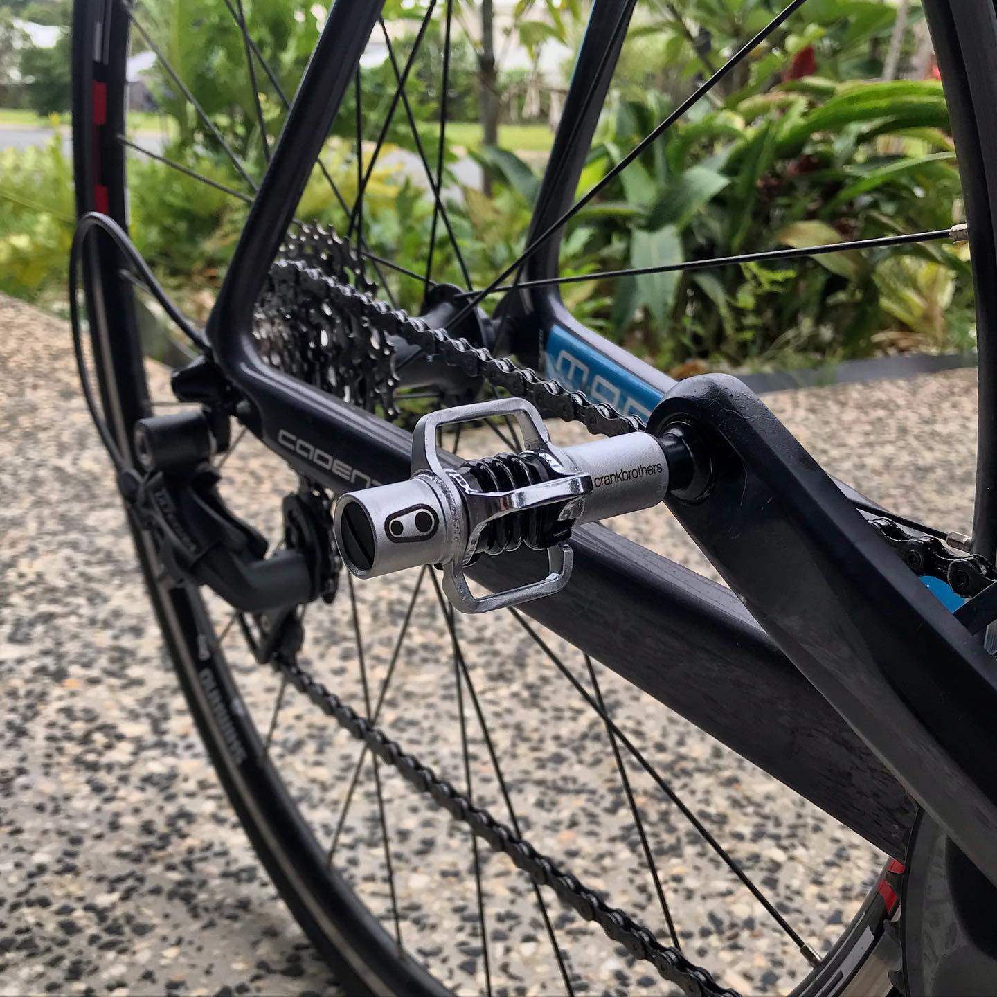 Close-up of a road bike’s rear wheel, chain, gears, and silver clipless pedal on a speckled pavement with greenery behind.