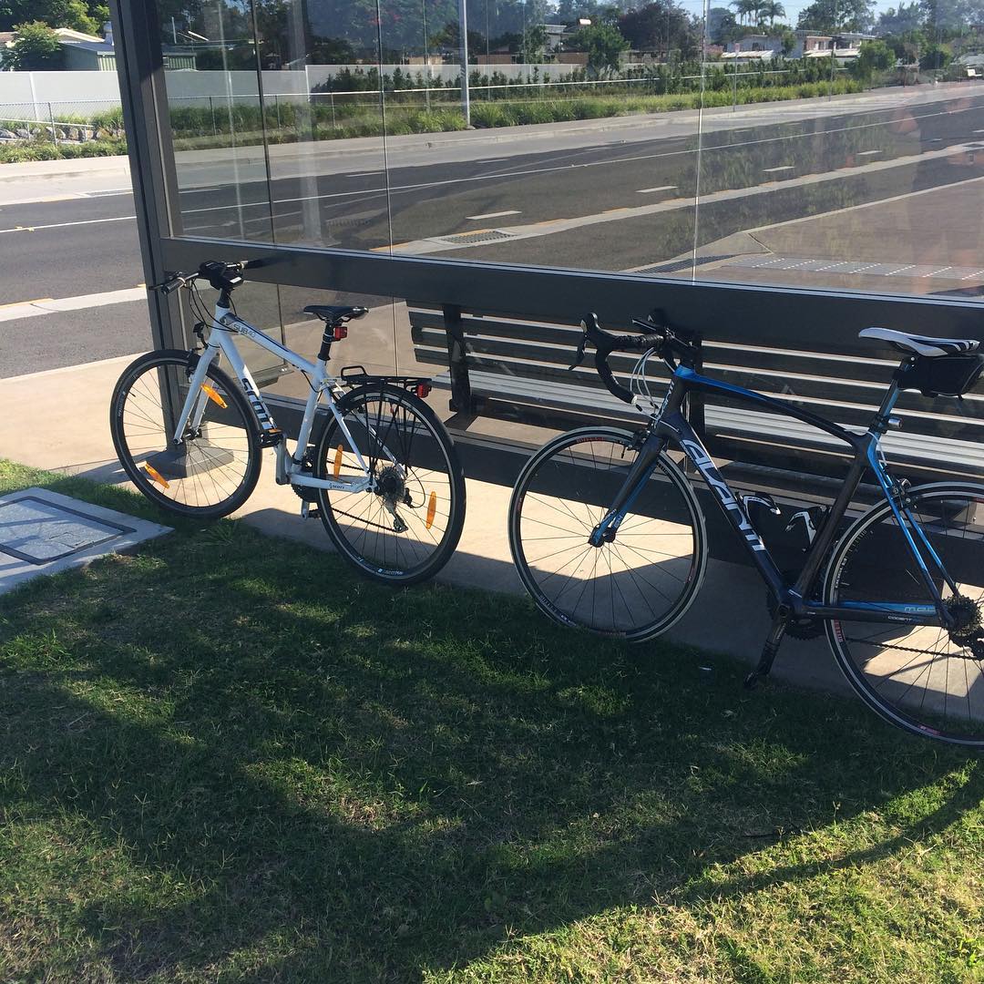 Two bicycles parked on grass beside a bench inside a glass bus shelter next to a road.