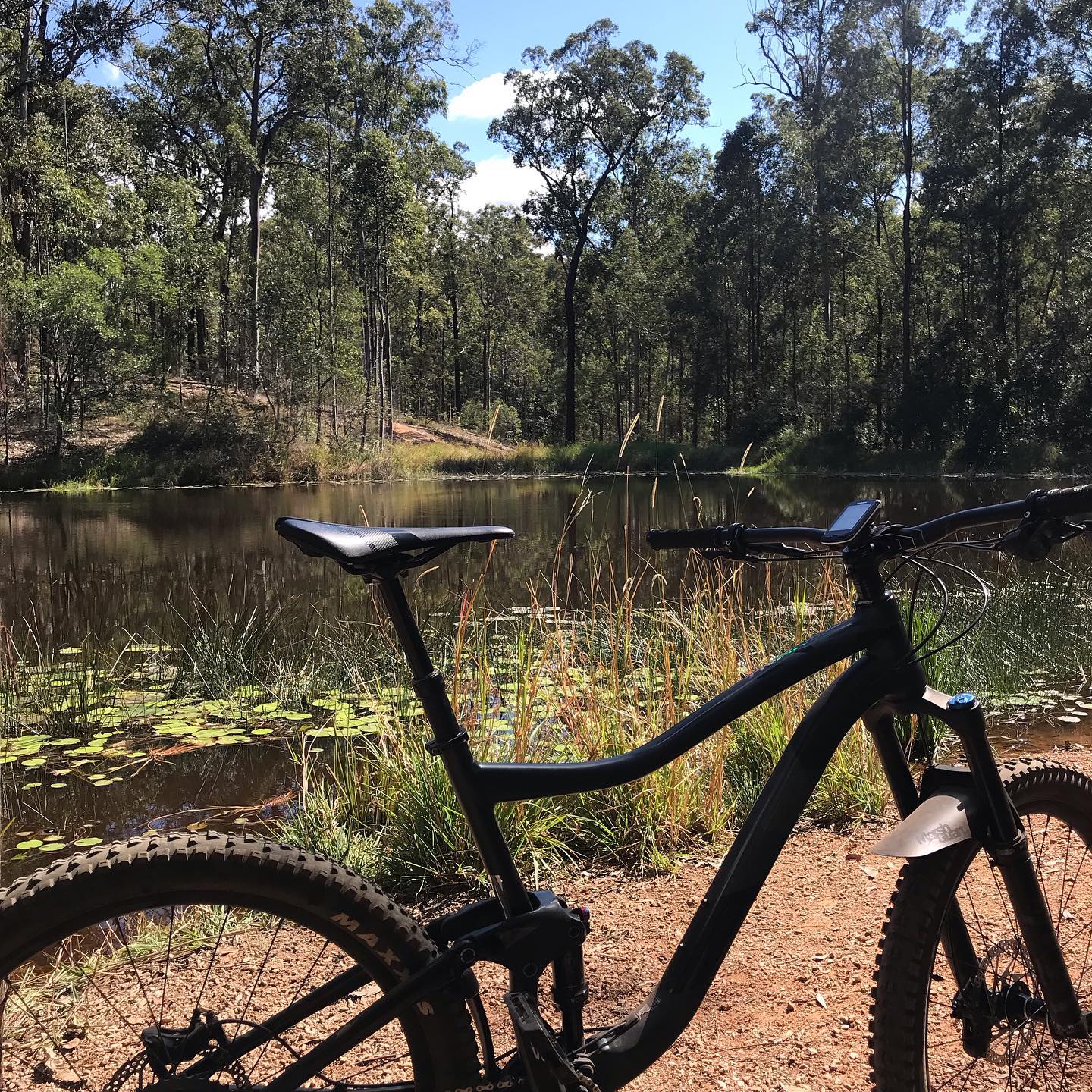 Black mountain bike beside a pond with lily pads, surrounded by tall trees under a blue sky.