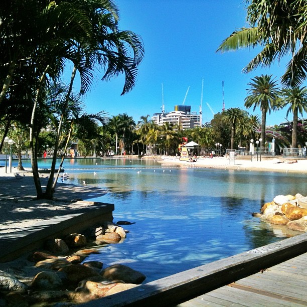 Palm trees around a calm lagoon with sandy edges, a wooden boardwalk, and distant buildings under a clear blue sky.