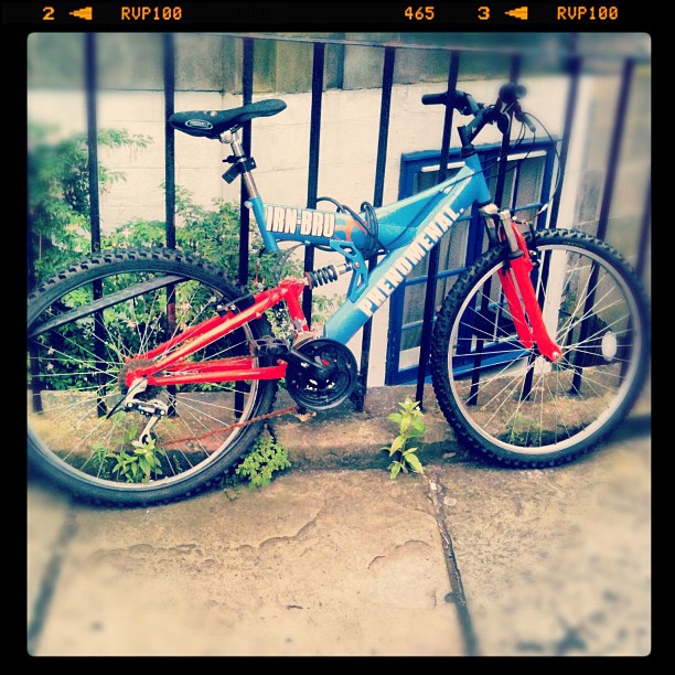 Blue and red mountain bike leaning against a black metal fence on a concrete surface with small plants around it.
