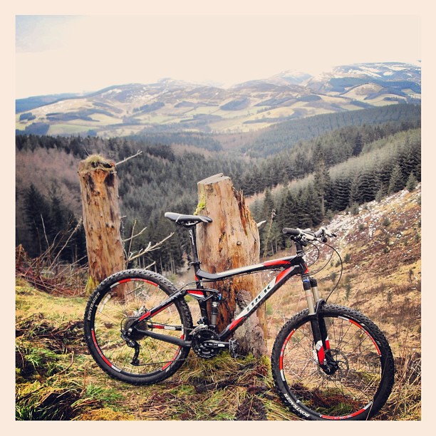 Mountain bike leaning against tree stumps on a grassy hillside overlooking a forested valley and snow-dusted hills.