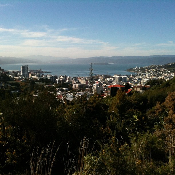 Hillside view of a coastal city with buildings around a blue bay, distant mountains, and shrubs in the foreground.