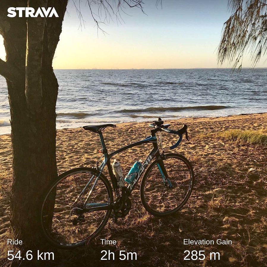 Road bike leaning against a tree on a sandy beach beside calm water at sunset, with Strava stats overlaid.