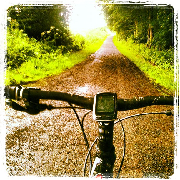 Bicycle handlebars and bike computer on a wet gravel path stretching through sunlit green trees.