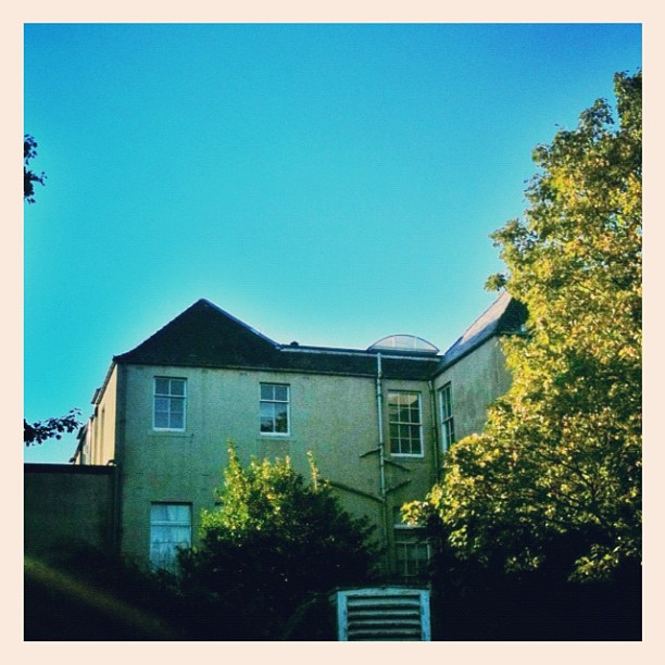 Sunlit building with several windows, surrounded by leafy trees under a clear blue sky.