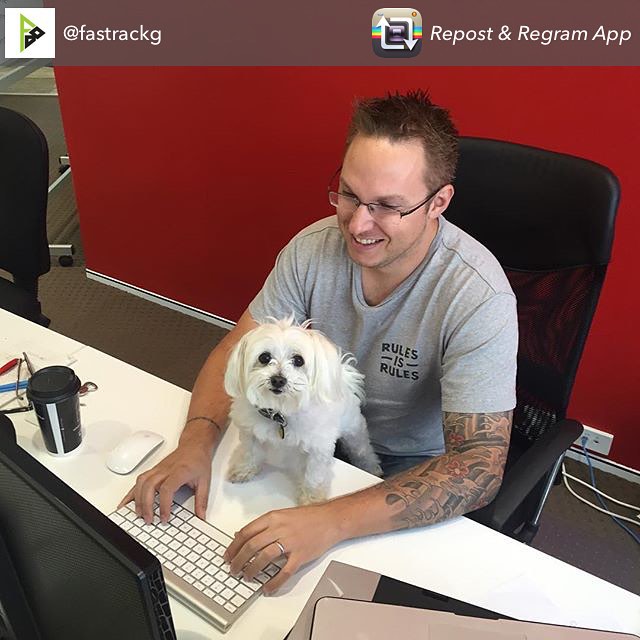 Man with glasses typing at a desk beside a small white dog, with a coffee cup, computer monitor, and red wall behind them.